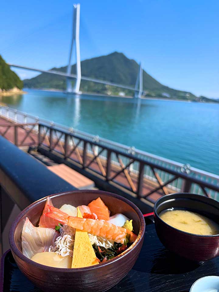 水軍海賊丼